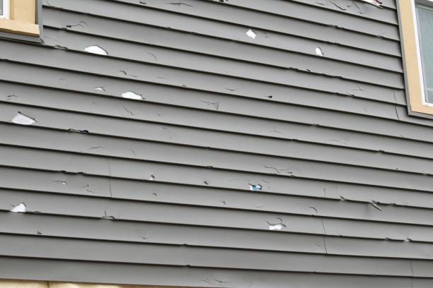 Best Siding for New Construction  in Winlock, WA